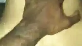 زنا بين الأعراق: جنون القضيب الأسود الكبير مع جارة متزوجة