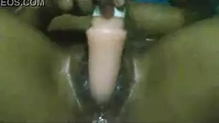 افلام محا م برازيلية