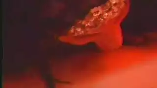 نيك ببوس رومانسي