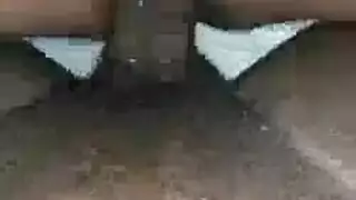 نيك زميلتي غي العمل مترجم