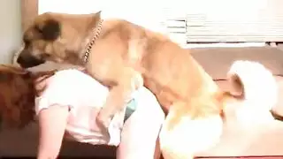 نيك مدام من زب كلب عنيف افلام سكس كلاب مع نساء