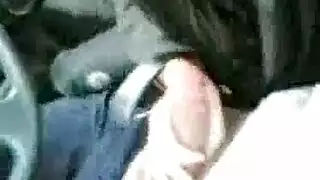 ملابس محتشمة، فم جامح: هوس نجم إباحي بالجنس الفموي