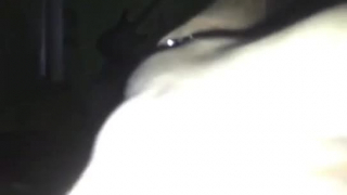 الكلية في سن المراهقة في سراويل أو خنثي أسود