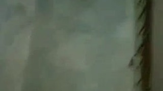 صور شيميل اسود